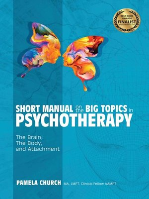 cover image of Short Manual on the Big Topics in Psychotherapy